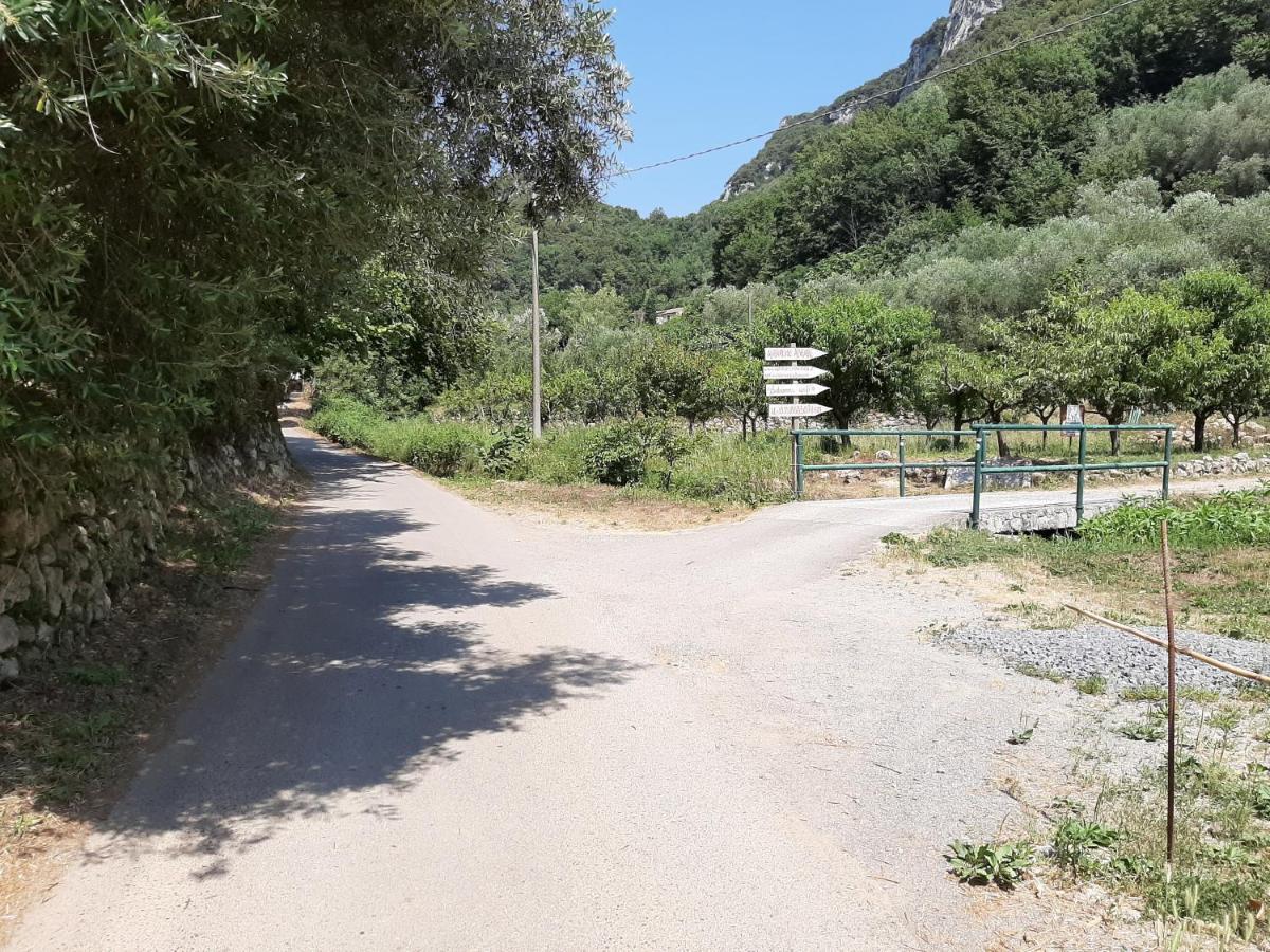 Agriturismo Alveare Finale Ligure Eksteriør billede