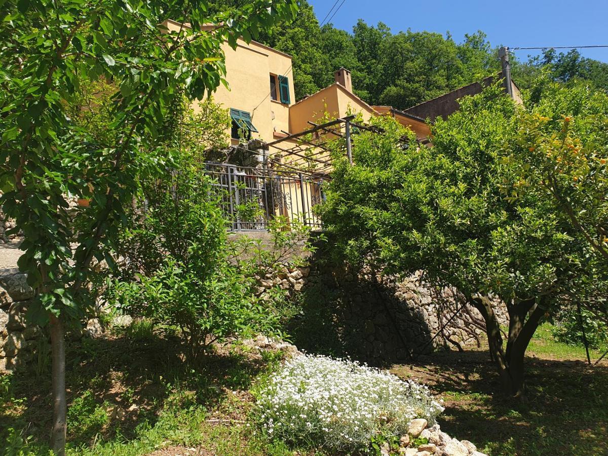 Agriturismo Alveare Finale Ligure Eksteriør billede
